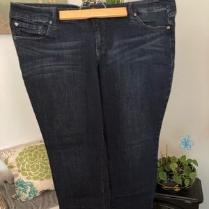 Torrid size 24